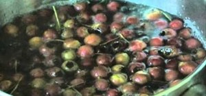 Make a syrup out of hawthorne berries