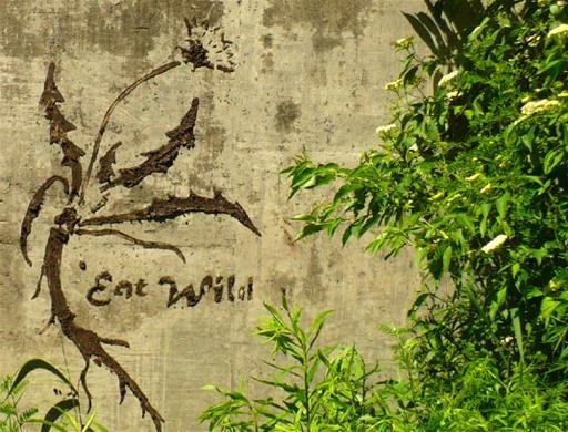 DIY Eco-Friendly Mud Graffiti