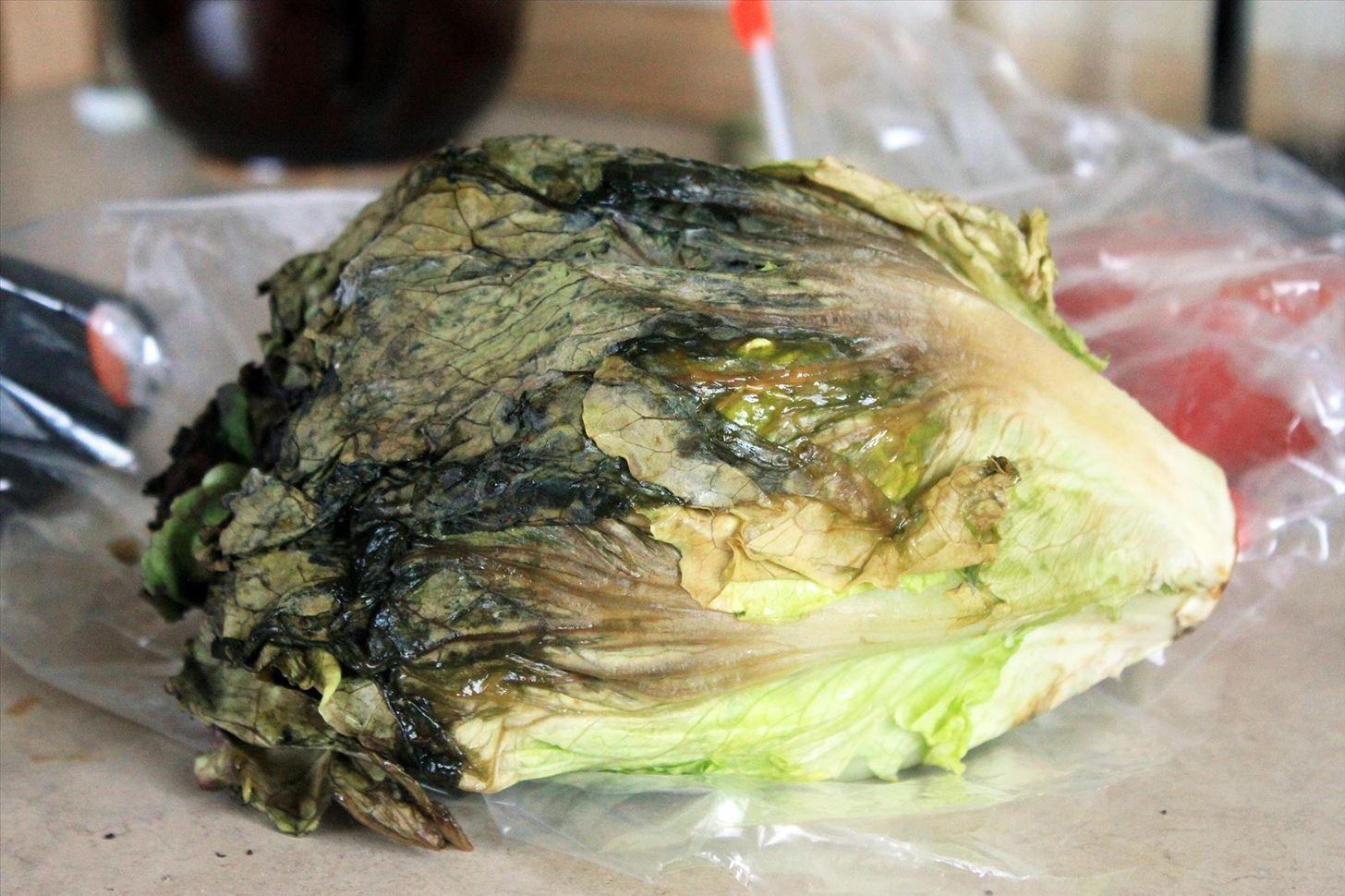 How to Make Soggy, Wilted Lettuce & Other Leafy Greens Edible Again