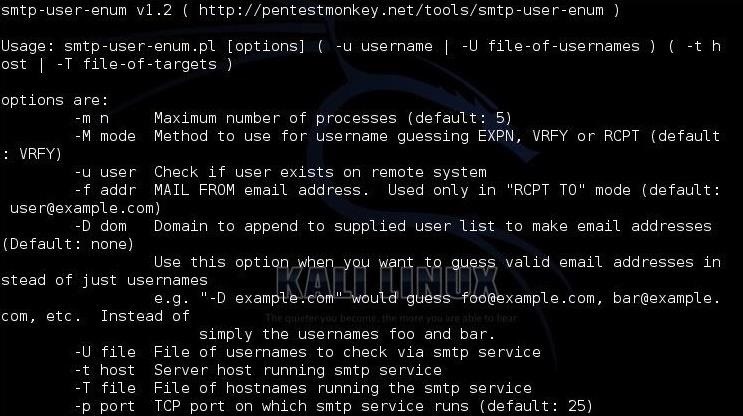 Hack Like a Pro: How to Extract Email Addresses from an SMTP Server