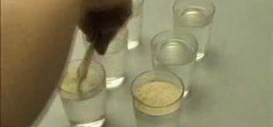 Do a yeast experiment to see how much C02 it produces