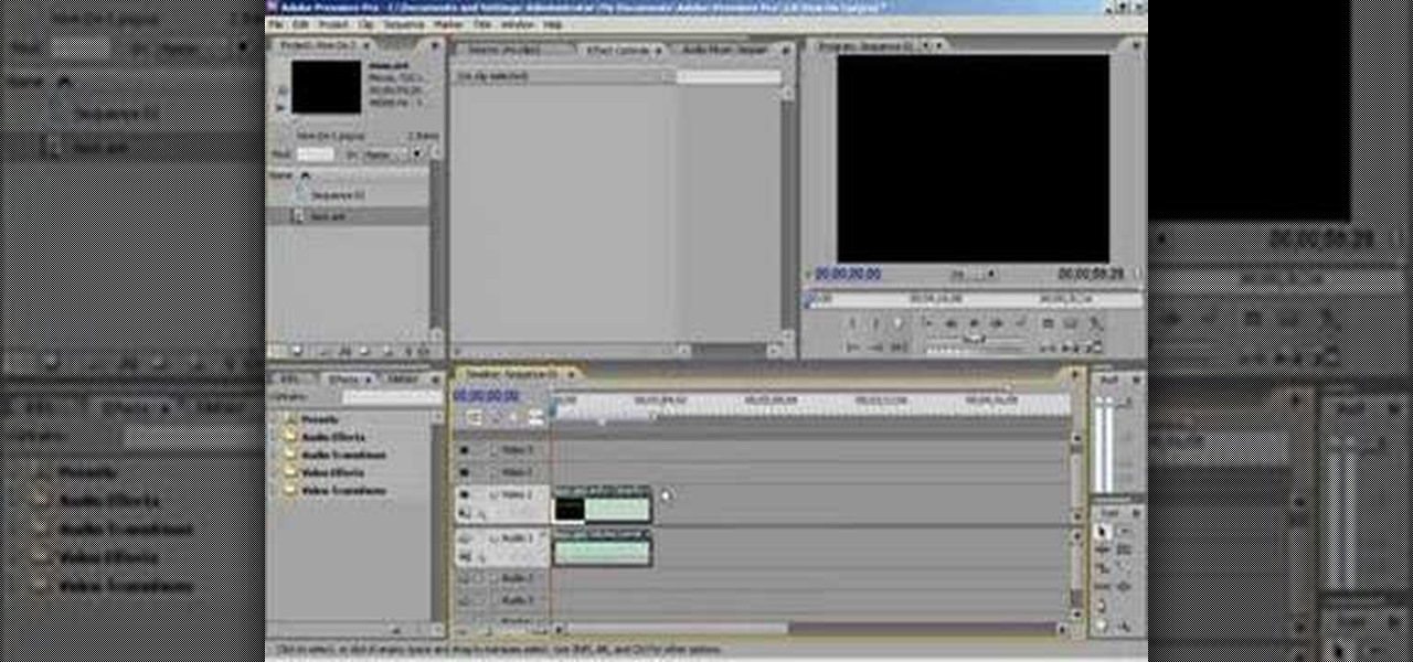 how to extract audio from video premiere elements