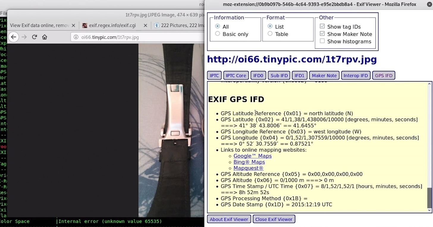How to Obtain Valuable Data from Images Using Exif Extractors