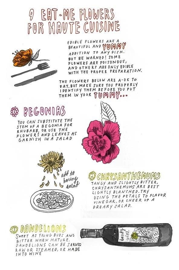 9 Eat-Me Flowers for Haute Cuisine