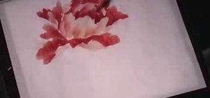 Paint a hot red peony in Chinese watercolors