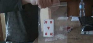 Perform the "ordinary plastic bag" card trick