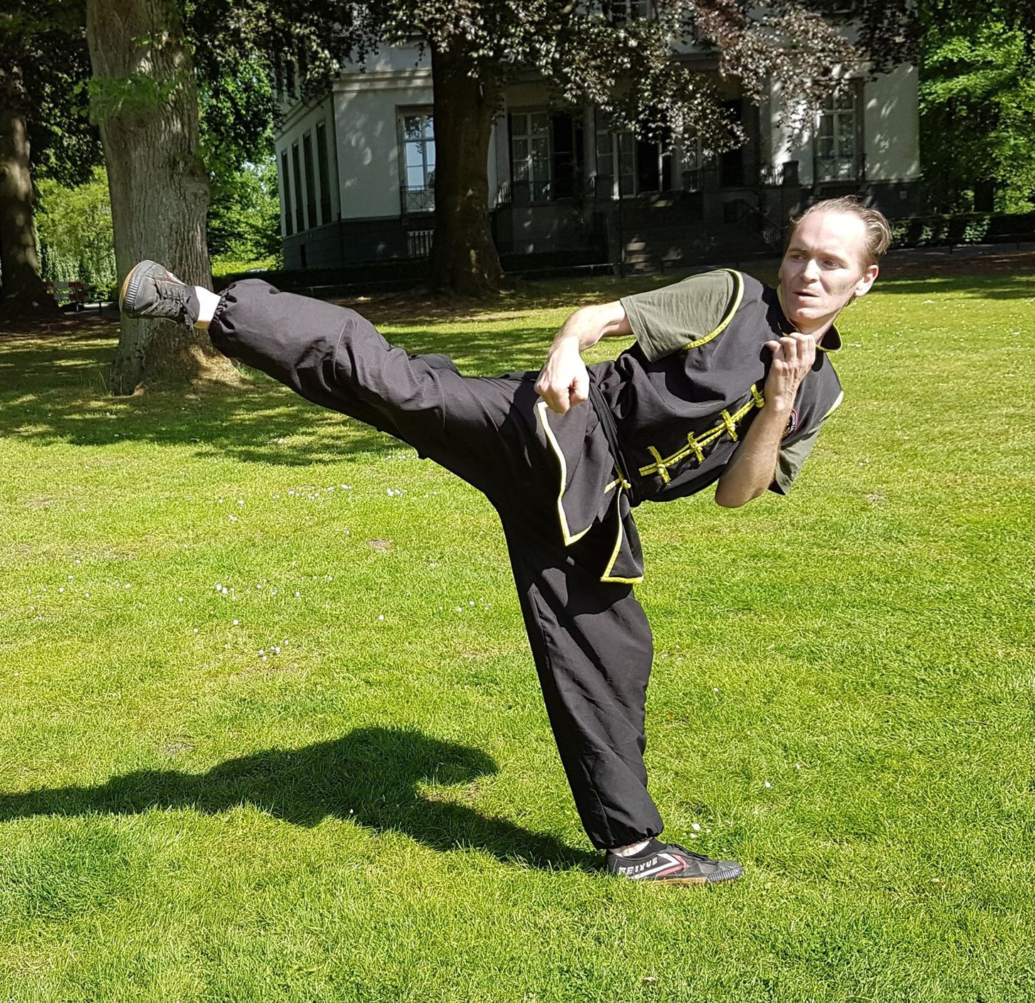 How to Learn Five Animal Kung Fu, Ng Ying Kungfu