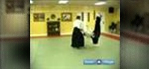 Do Aikido moves for beginners