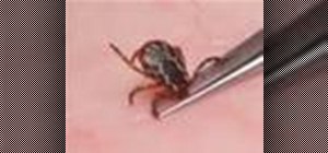 Repel ticks naturally