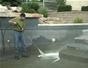 Clean pools and spas with a pressure washer