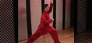 Perform a northern style Kung Fu combination