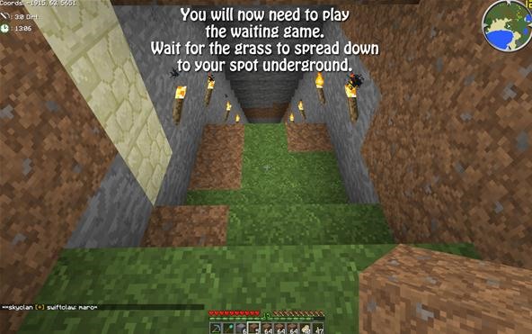 Brighten Your Subterranean in Minecraft—Grow Grass Underground! « Minecraft :: WonderHowTo