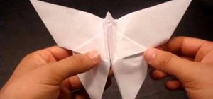 Make an origami paper butterfly