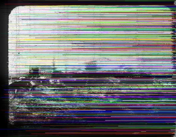 Flickr Images Corrupted by GlitchBot