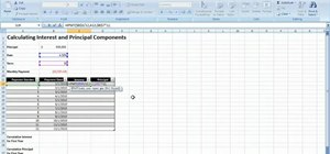 Calculate interest on a loan payment in MS Excel 2007