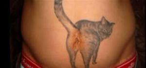 Cat behind-hole = belly button!