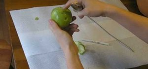 Make an apple bowl for smoking pot