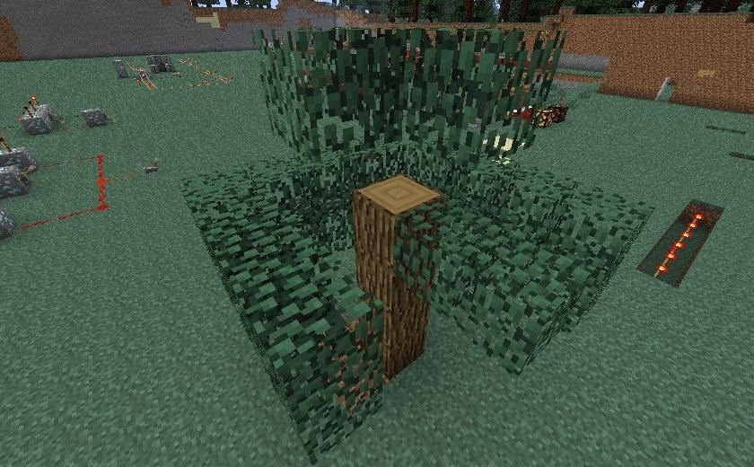 Bend and Shape Trees However You Want in This Saturday's Minecraft Workshop on Tree Molding