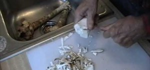 Make homemade horseradish