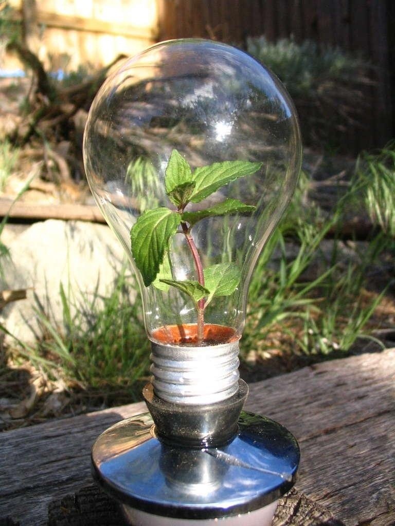 DIY Impossible Light Bulb, Plus 6 More Ways to Repurpose Burned Out Bulbs