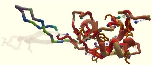 Free Protein Folding Game Cracks HIV Molecule Riddle