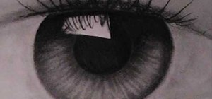 Draw the iris of an eye