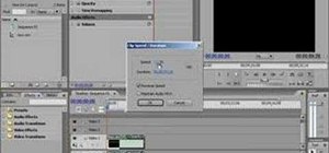 Reverse audio and video in Premiere