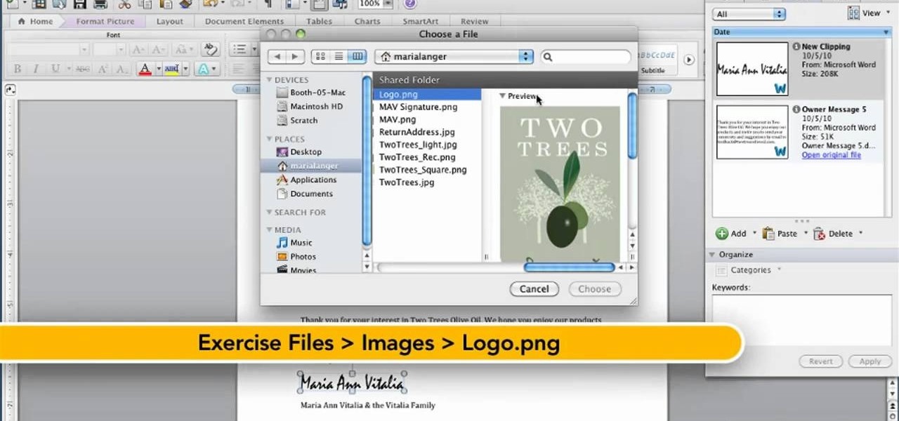 templates for ms office on mac