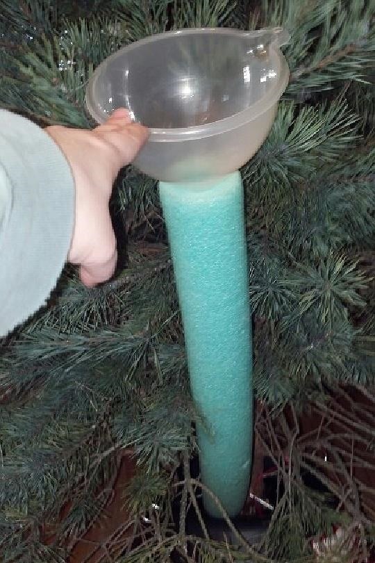 5 Weird & Easy Ways to Water Your Christmas Tree