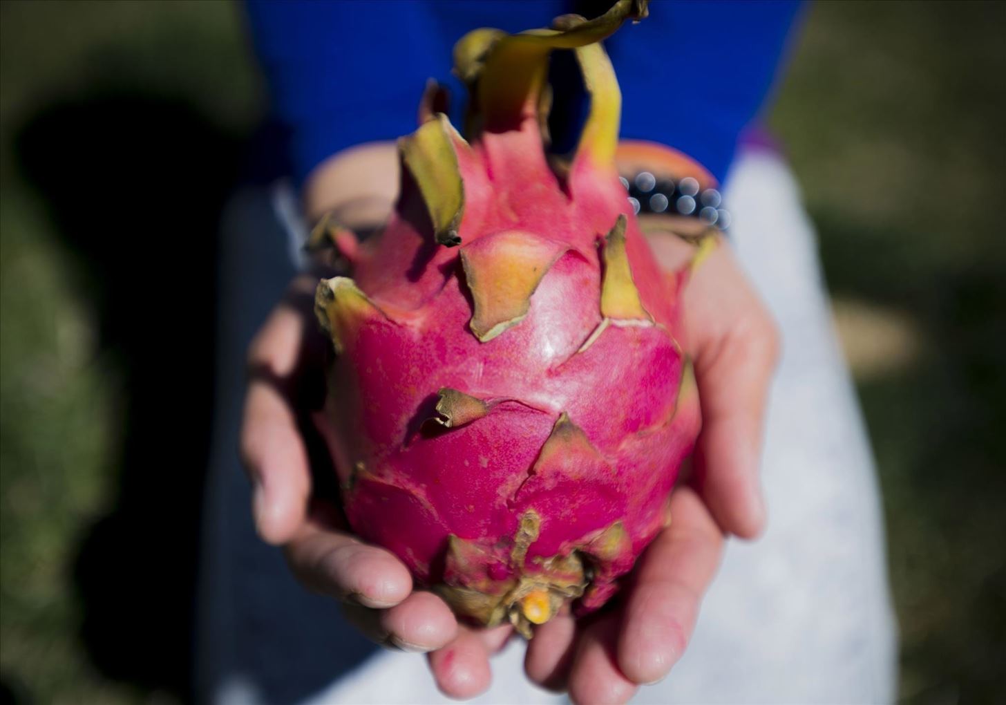 Weird Ingredient Wednesday: How to Train Your Dragonfruit