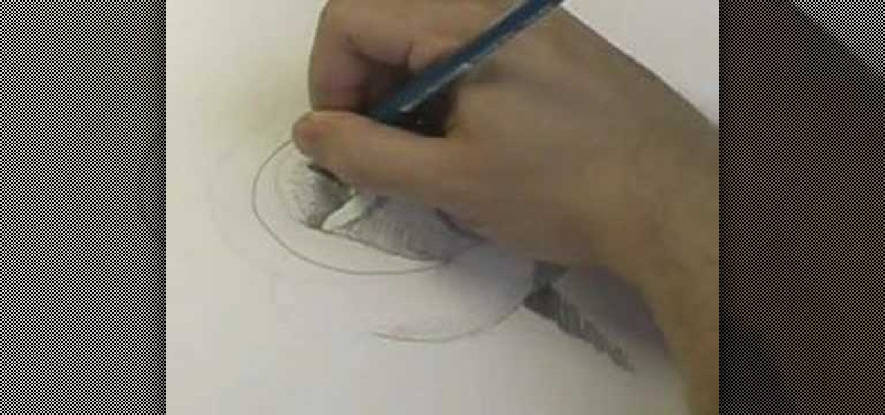 How to Draw roses step by step