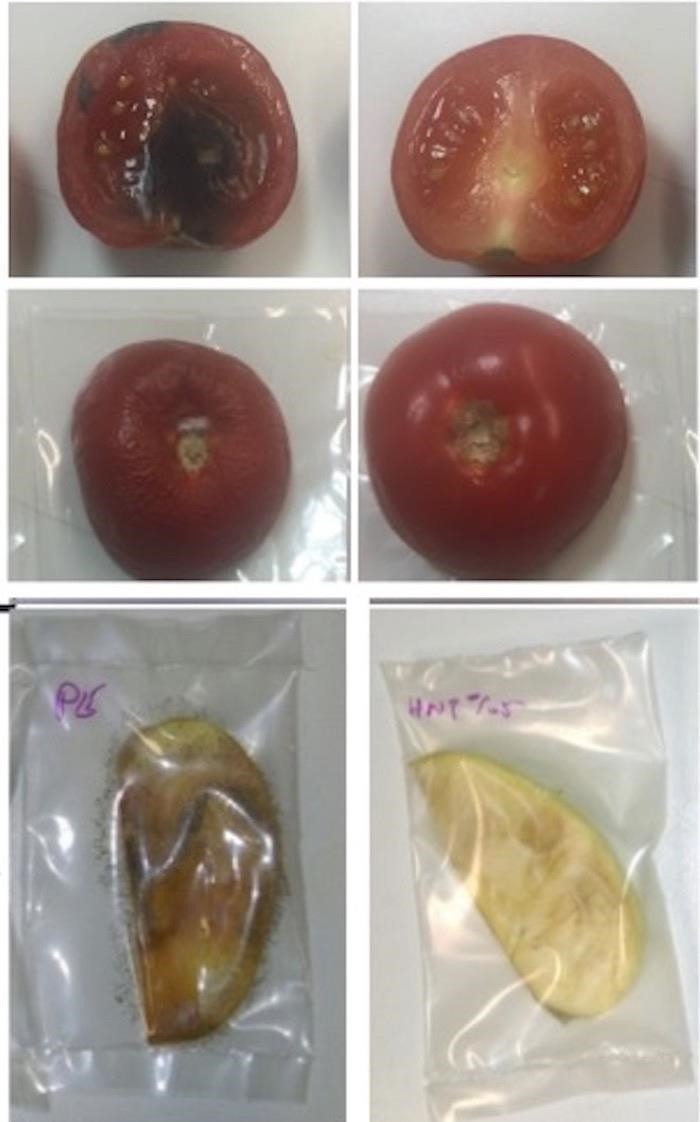 Microbe-Fighting Plastic Wrap Keeps Fruits Fresher for a Week