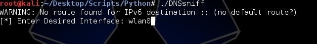 How to Build a DNS Packet Sniffer with Scapy and Python
