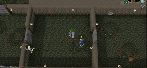 Beat the Love Story member quest in Runescape