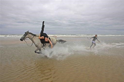 Horsesurfing (Swear, No Photoshop Used!)