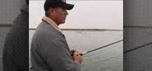 Use spinnerbait to get reaction strikes when fishing