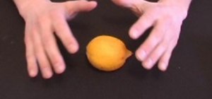 Perform the Lemon Prediction magic trick