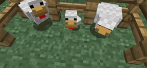 Minecraft World's Exhaustive Guide to Food Farming