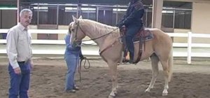 Assume a correct horseback riding position