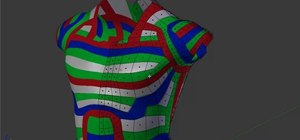 Create a 3D model a male or female torso in Blender 2.5