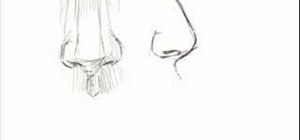 Draw male noses