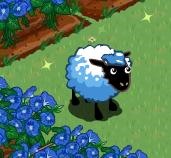 Fan Sheep