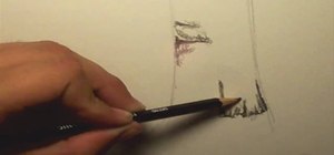 Draw a tree in detail