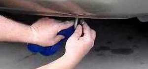 Install a hanging nut sack from your car bumper