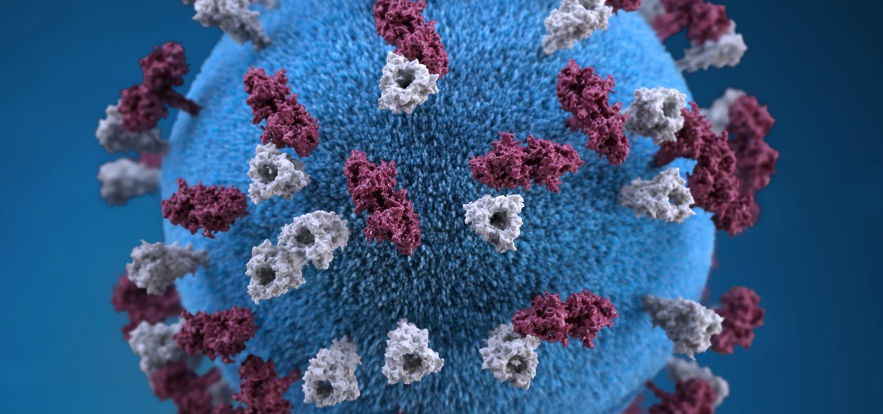 Maine Just Got Their First Case of Measles in 20 Years