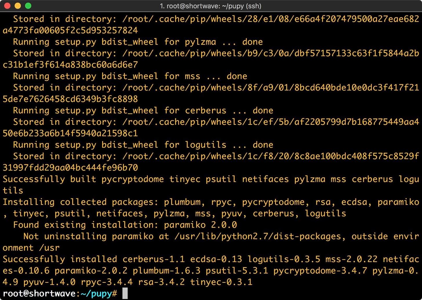 How to Use Pupy, a Linux Remote Access Tool