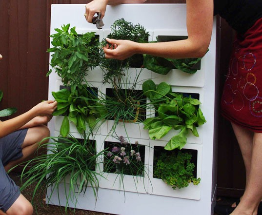 The Urb Garden: The City Dweller's Solution to Growing Food at Home