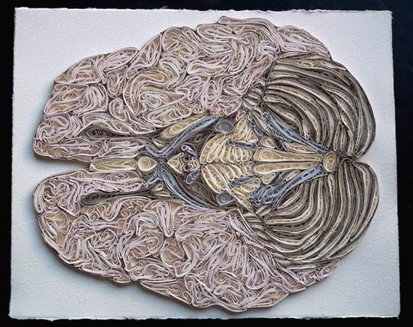Obsessively Intricate Paper Anatomy