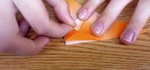 Origami fold a goldfish