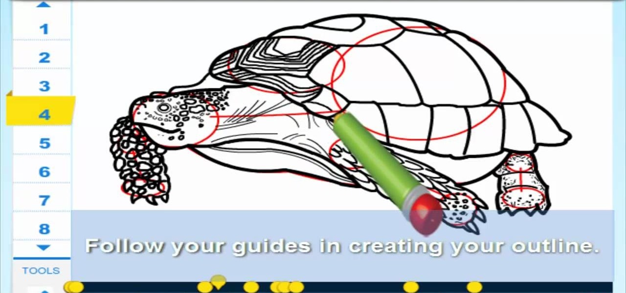 how to draw a tortoise  u00ab sketchheroes    wonderhowto